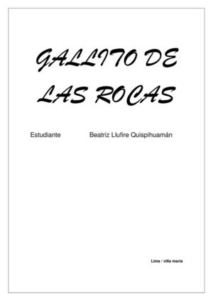 Gallito De Las Rocas 3