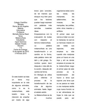 Metamorfosis Trabajo II Período