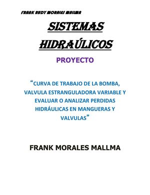 Proyecto Sistemas Hidraúlicos