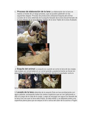 proceso de la lana