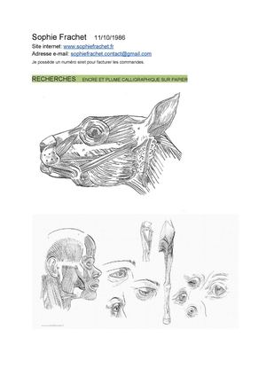 Minibook Artistique Sophie Frachet