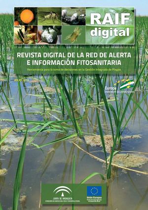 150804 Revista Raif 4ago Sin Flash