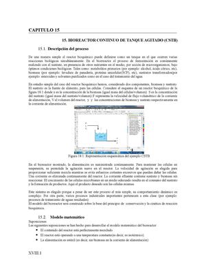 Biorreactor Continuo Corregido