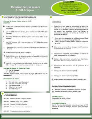 Cv Sylvain 2012 (2) (4) (1)