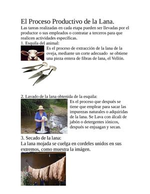 El Proceso Productivo De La Lana
