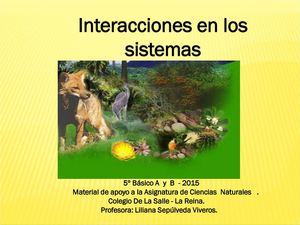 Interacciones En Los Ecosistemas