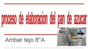 Proceso De Elaboración Del Pan