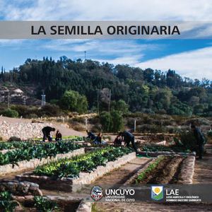 Revista Semilla Originaria