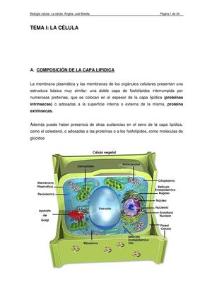 La Célula - Clase 01 - Sergio La Cruz Orbe