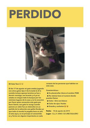 Perdidoencontrado 2 (1)