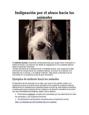 Indignación Por El Abuso Hacia Los Animales