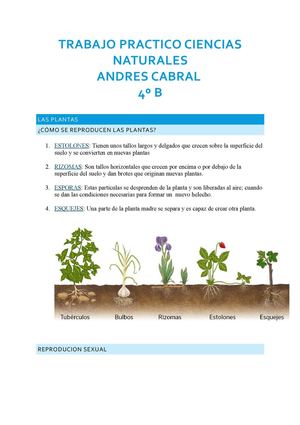 Trabajo Practico Ciencias Naturales Andres Cabral