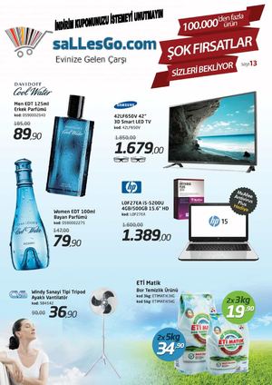 Sallesgo Insert13 2baski 12augstos