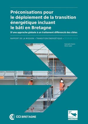 Rapport Transition Energetique