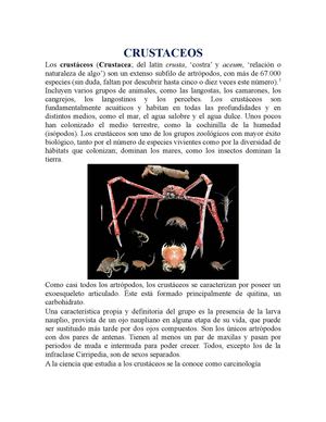 Crustaceos