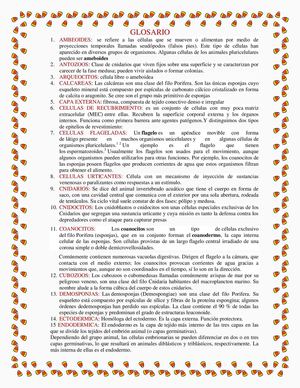 Glosario Invertebrados 1