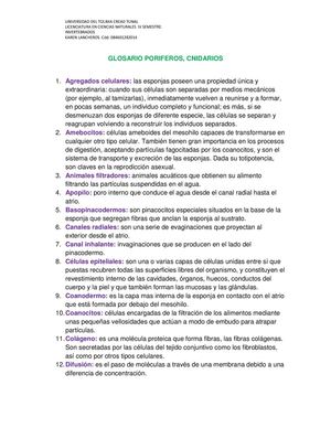 Glosario Poriferos Y Cnidarios