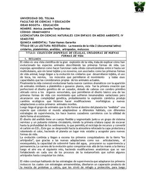 RAE La travesía de la vida; cnidarios y prorifero