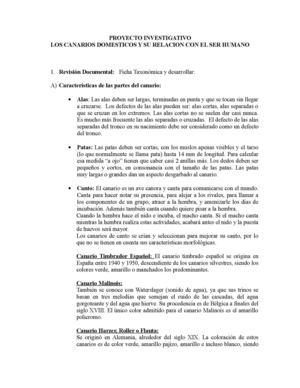 Proyecto Los Canarios