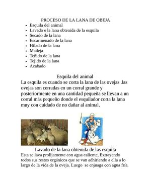 Proceso De La Lana De Oveja