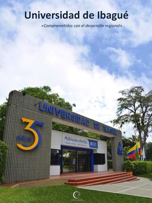 Universidad De Ibagué- MGerais