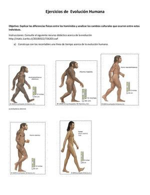 Ejercicio De Evolución Humana Pdf