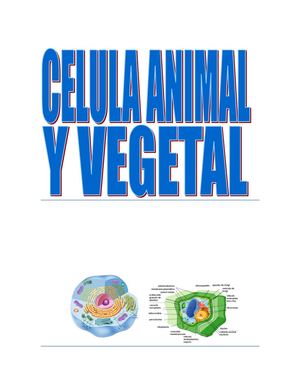 Celula Animal