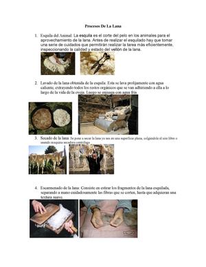 Procesos De La Lana