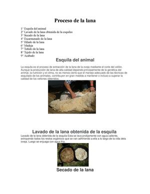 Proceso De La Lana
