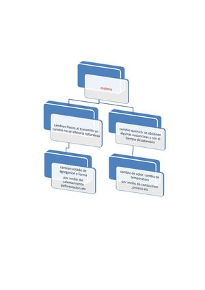 Quimica Organizador Grafico De Los Estados De La Materia