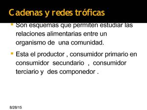 Mauro Nicolas Maq 16