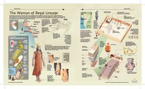Info Dama De Cao Ing