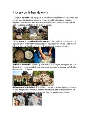 Proceso De La Lana De Oveja