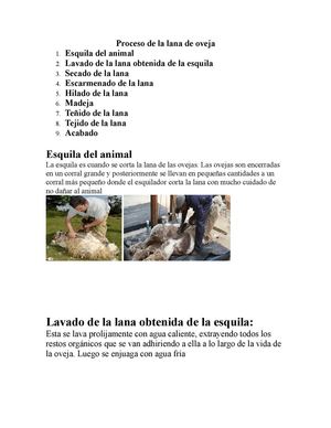 Proceso De La Lana De Oveja