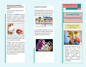 Alimentos Transgénicos