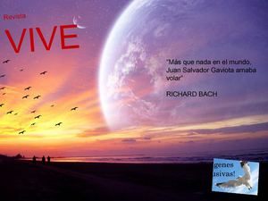 Revista Juan Gaviota