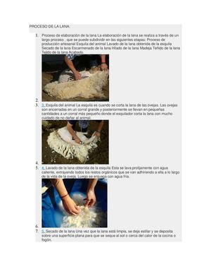 Proceso De La Lana