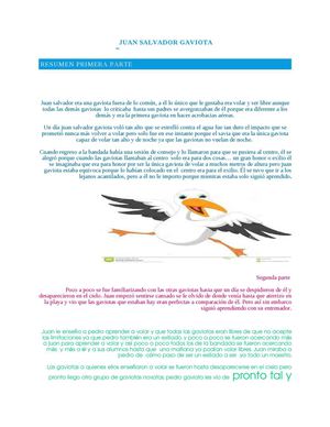 Juan Salvador Gaviota