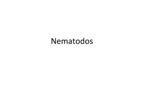 Nemátodos, Céstodos y Protozoos
