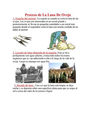 Proceso De La Lana De Oveja Alejandro 8b