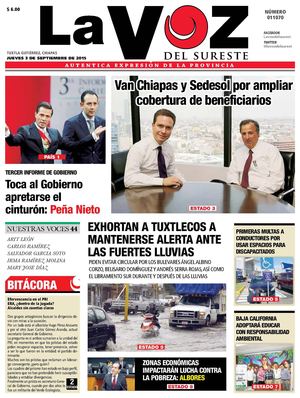 Diario La Voz del Surste