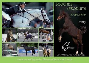 Ardcp Cat 2015fr Envoi Bd