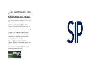 Los Campeonatos Más Importantes Del Rugby