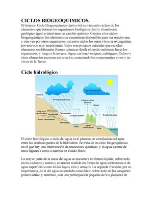 CICLOS BIOGEOQUIMICOS