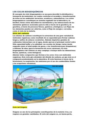 Los Ciclos Biogeoquímicos
