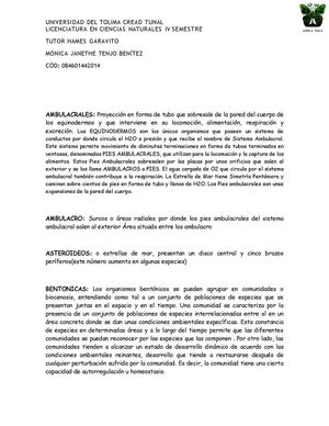 Glosario Tutoria 2 Equinodermos