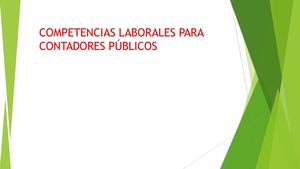 competencias laborales para contadores publicos
