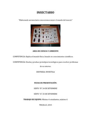 Proyecto Del Insectario