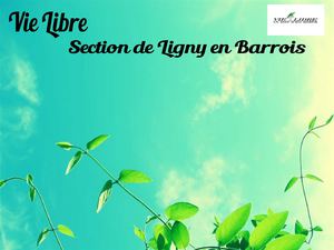 Intervention Vie Libre Resam