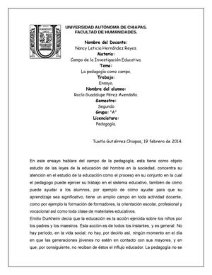 La Pedagogía Como Campo